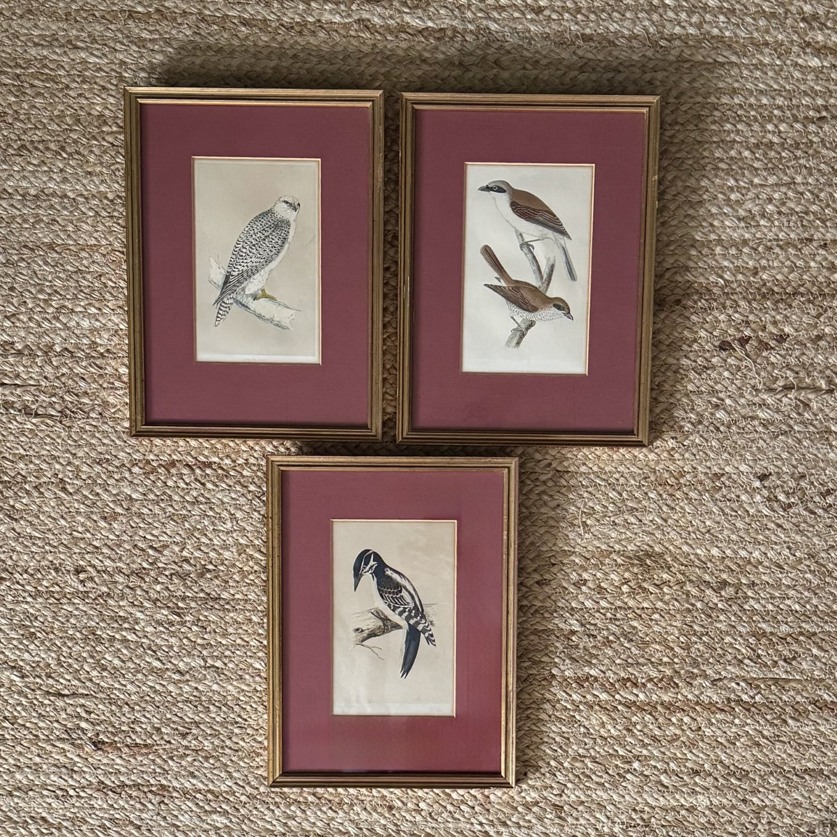 Set of three gilt framed bird prints