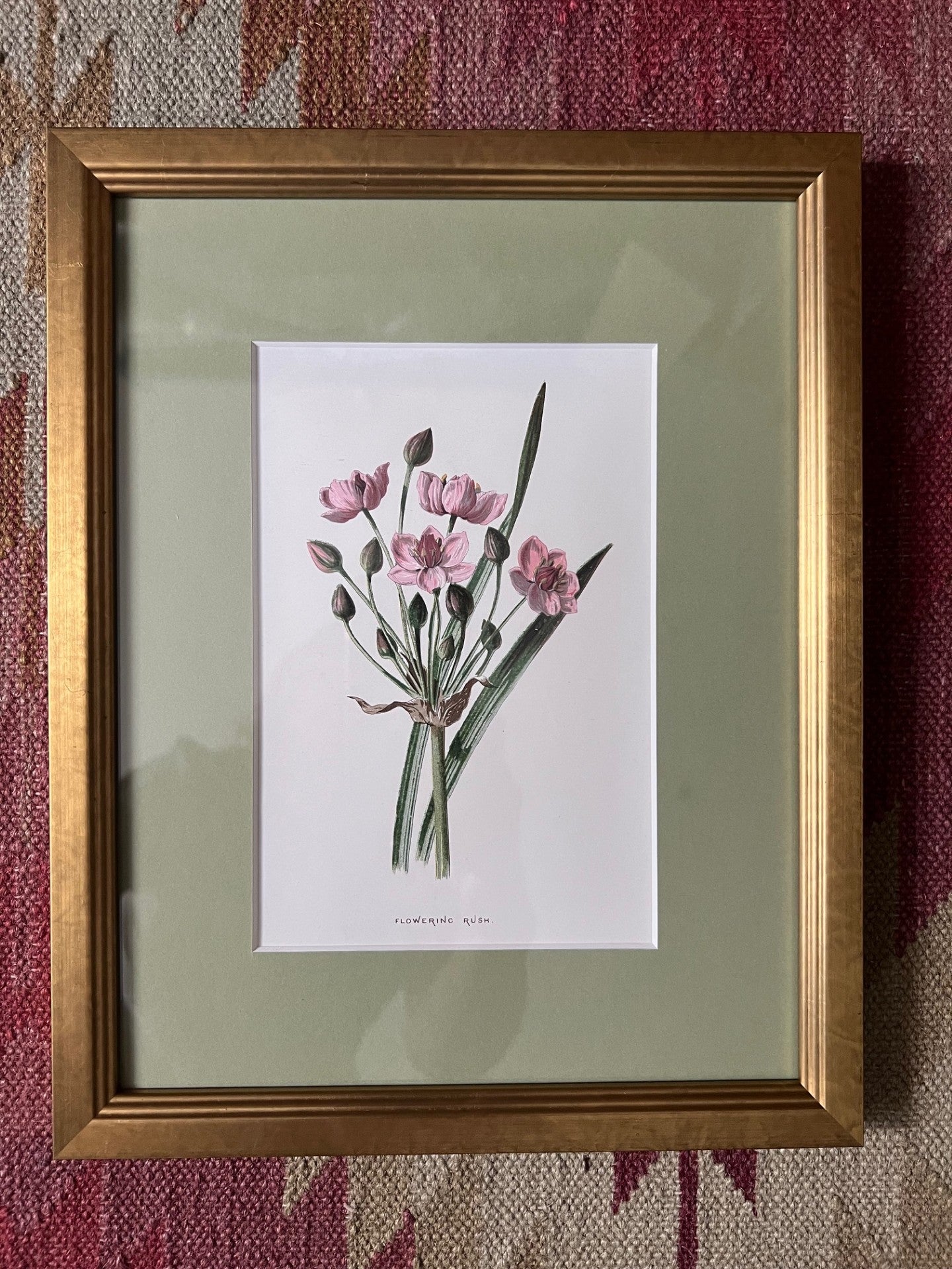 Set of four small floral prints