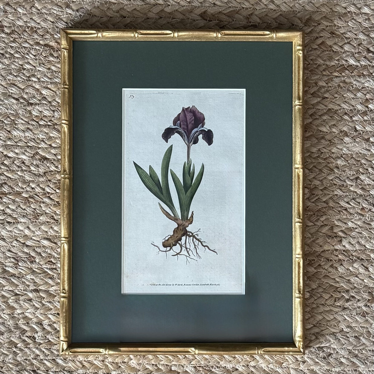 Set of four botanical prints