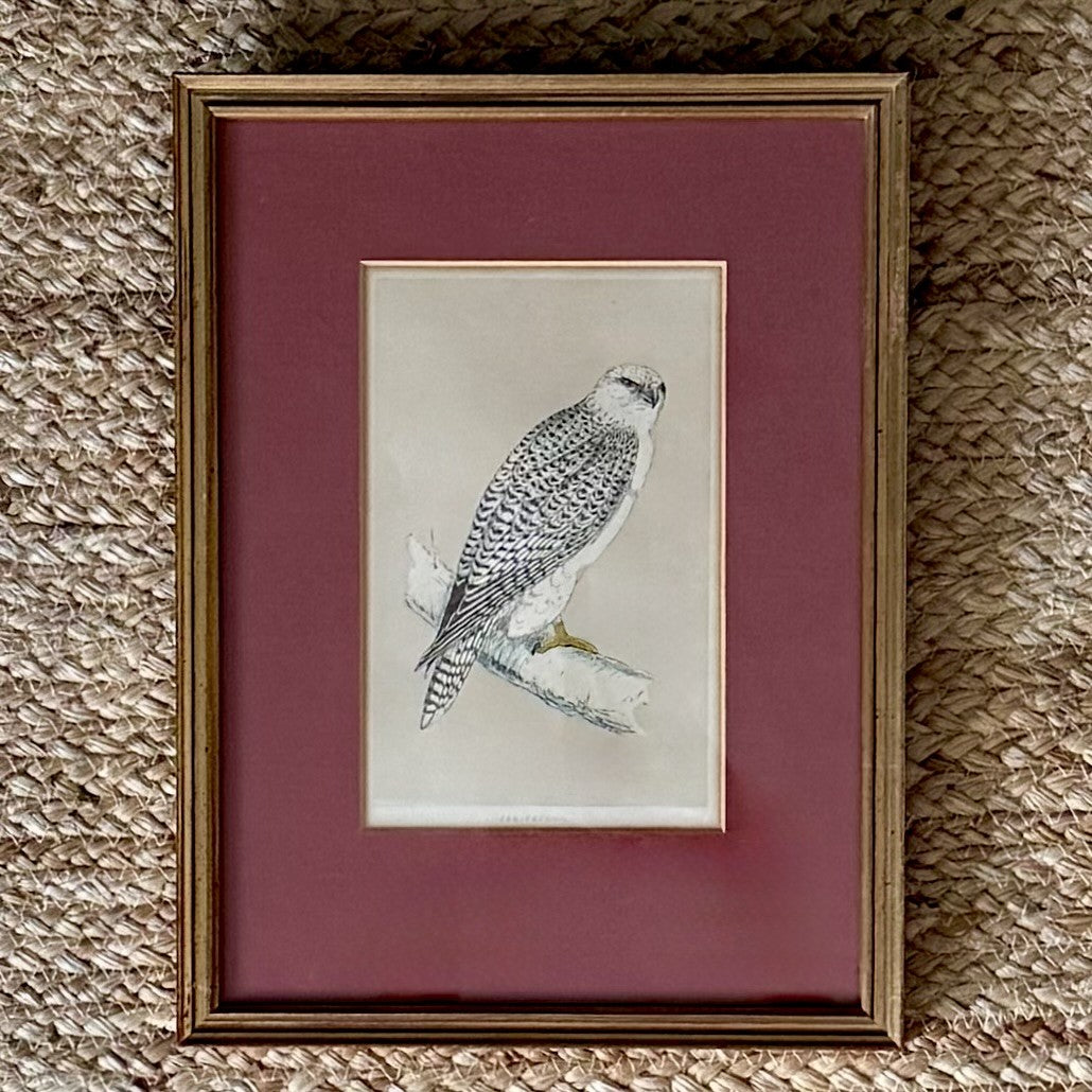 Set of three gilt framed bird prints