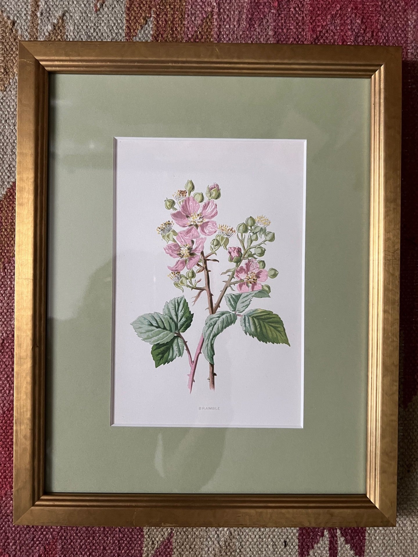 Set of four small floral prints