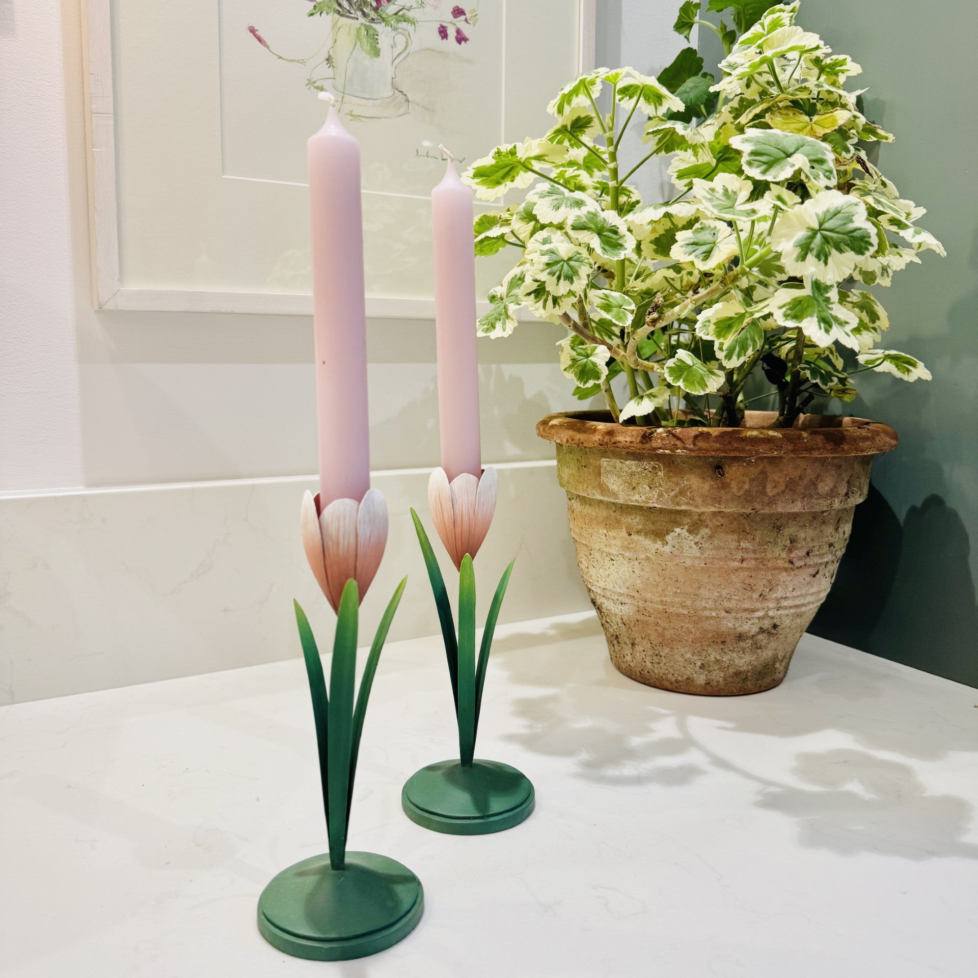 Crocus candlestick