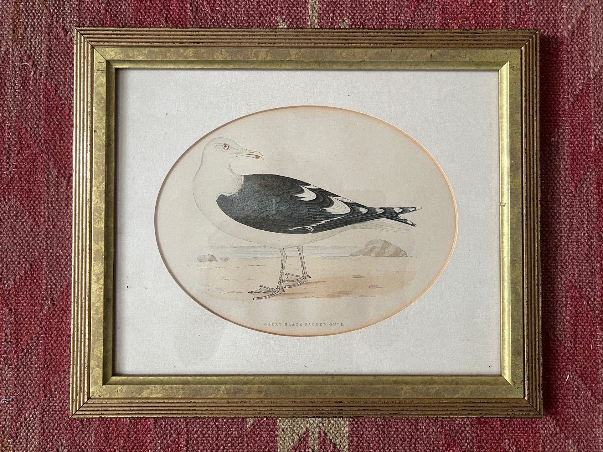 Set of Four Vintage Seagull Prints