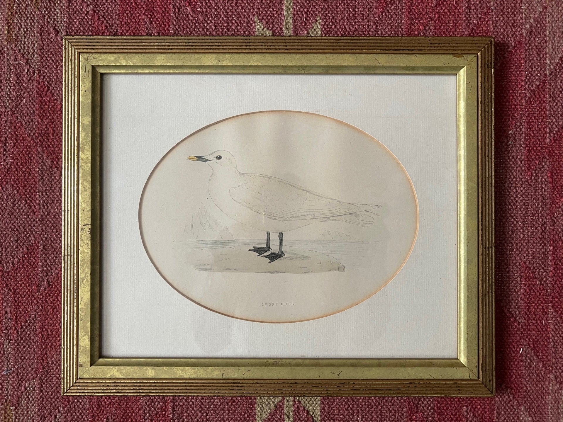 Set of Four Vintage Seagull Prints
