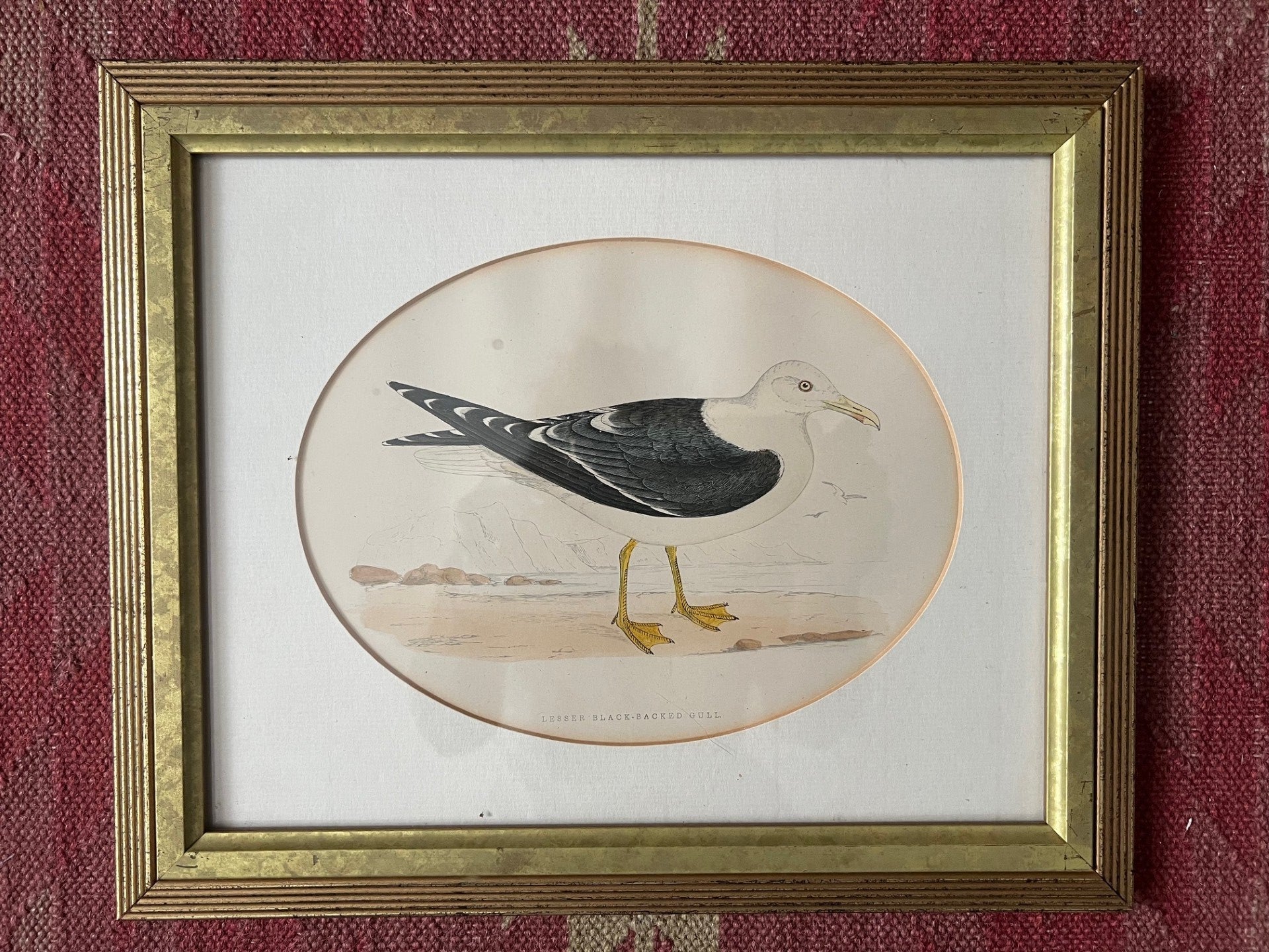 Set of Four Vintage Seagull Prints