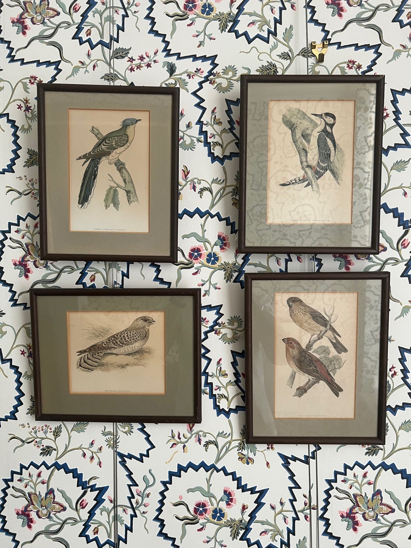 Set of Four Vintage Bird Prints
