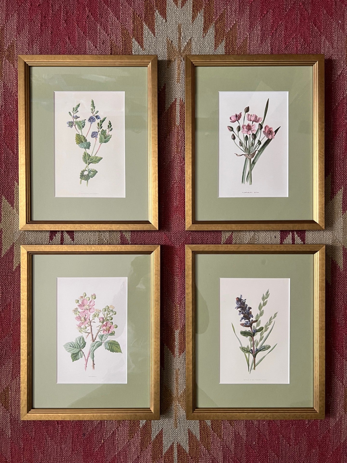 Set of four small floral prints
