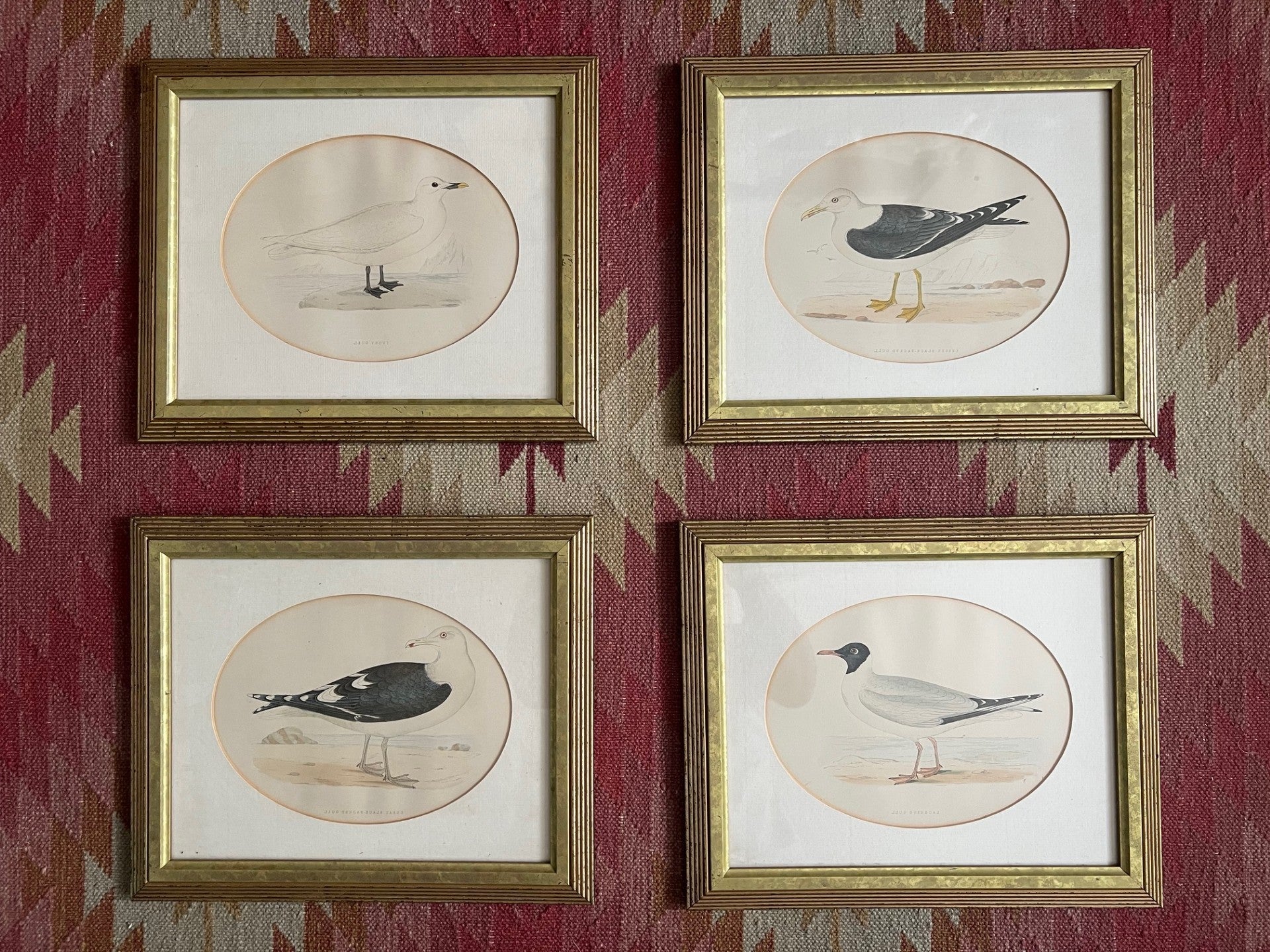 Set of Four Vintage Seagull Prints