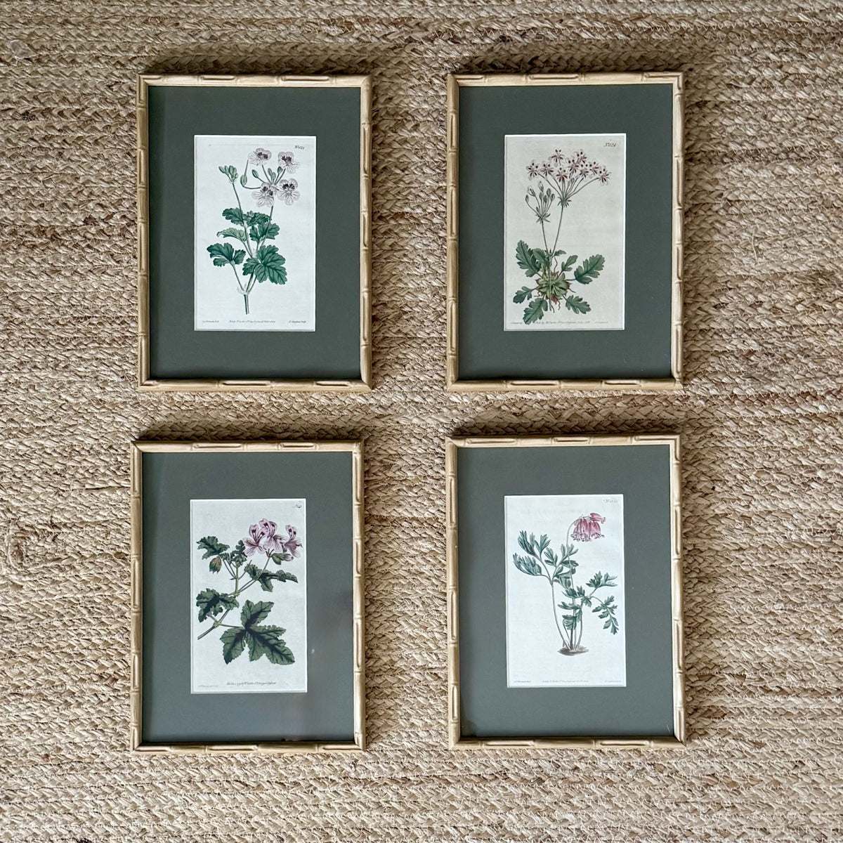 Set of four botanical prints with bamboo frames