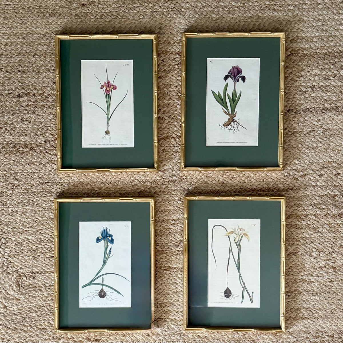 Set of four botanical prints