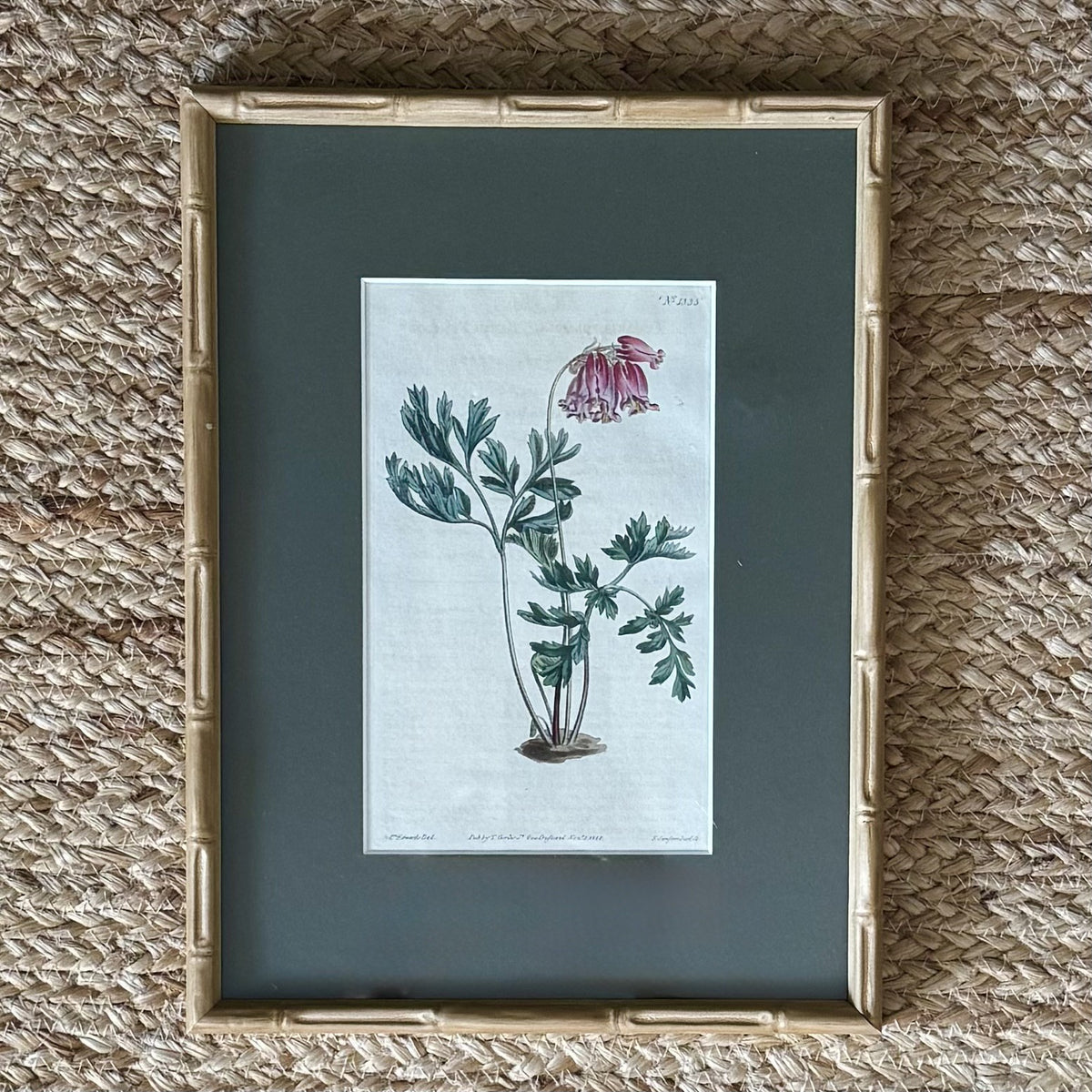 Set of four botanical prints with bamboo frames