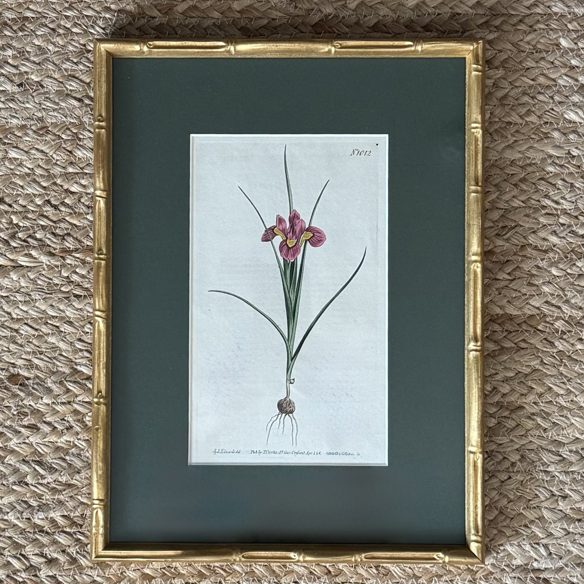 Set of four botanical prints