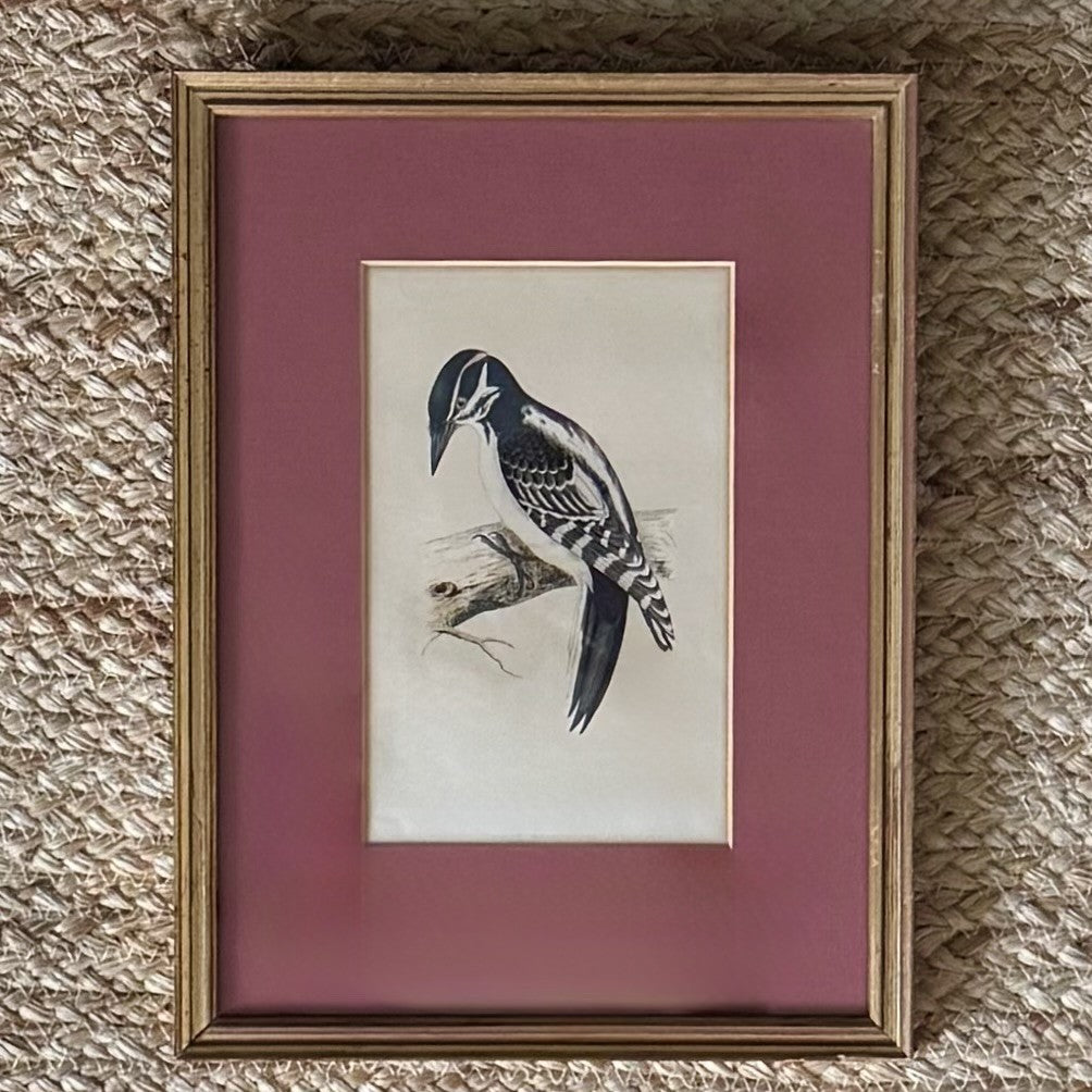 Set of three gilt framed bird prints