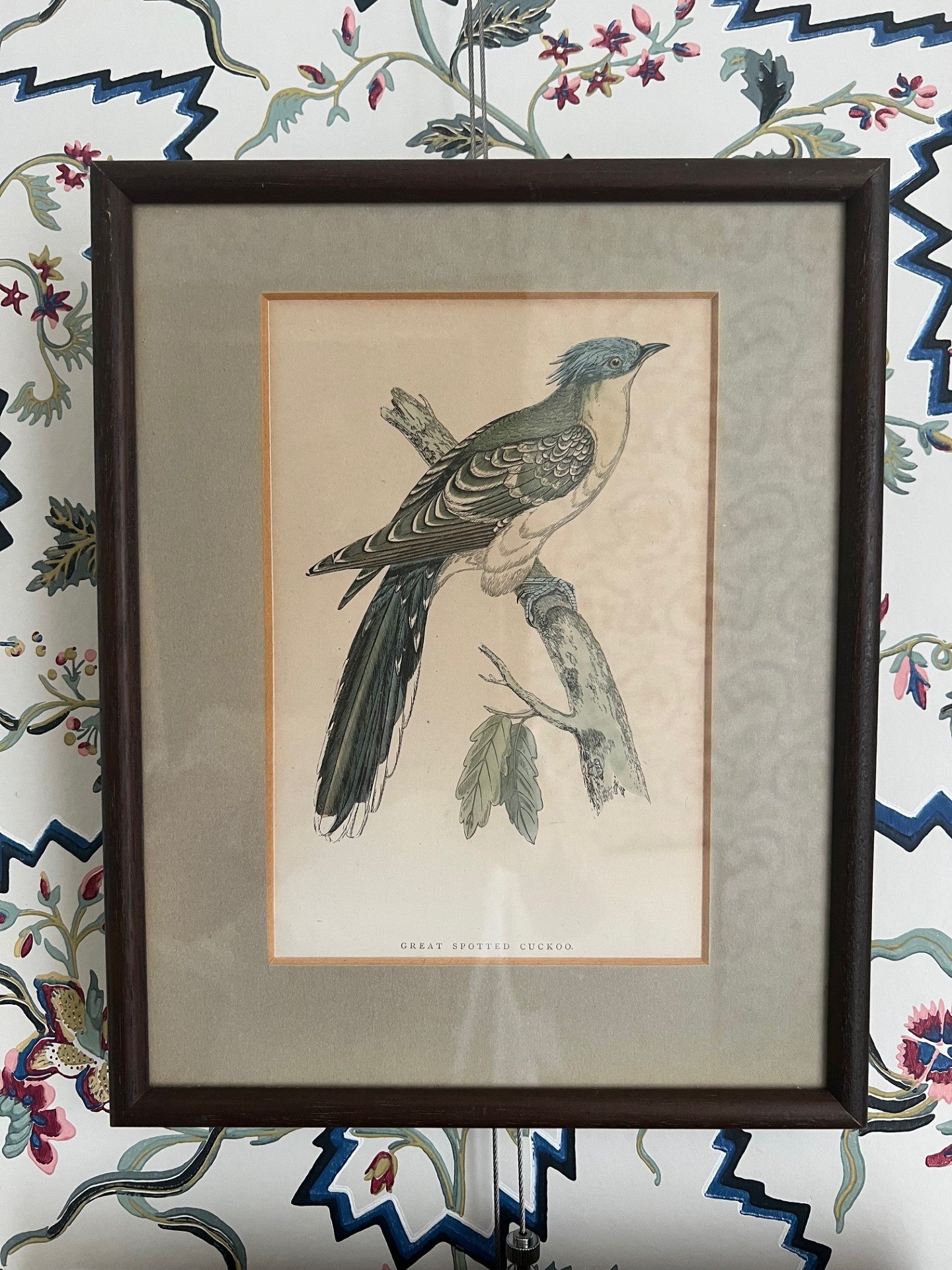 Set of Four Vintage Bird Prints