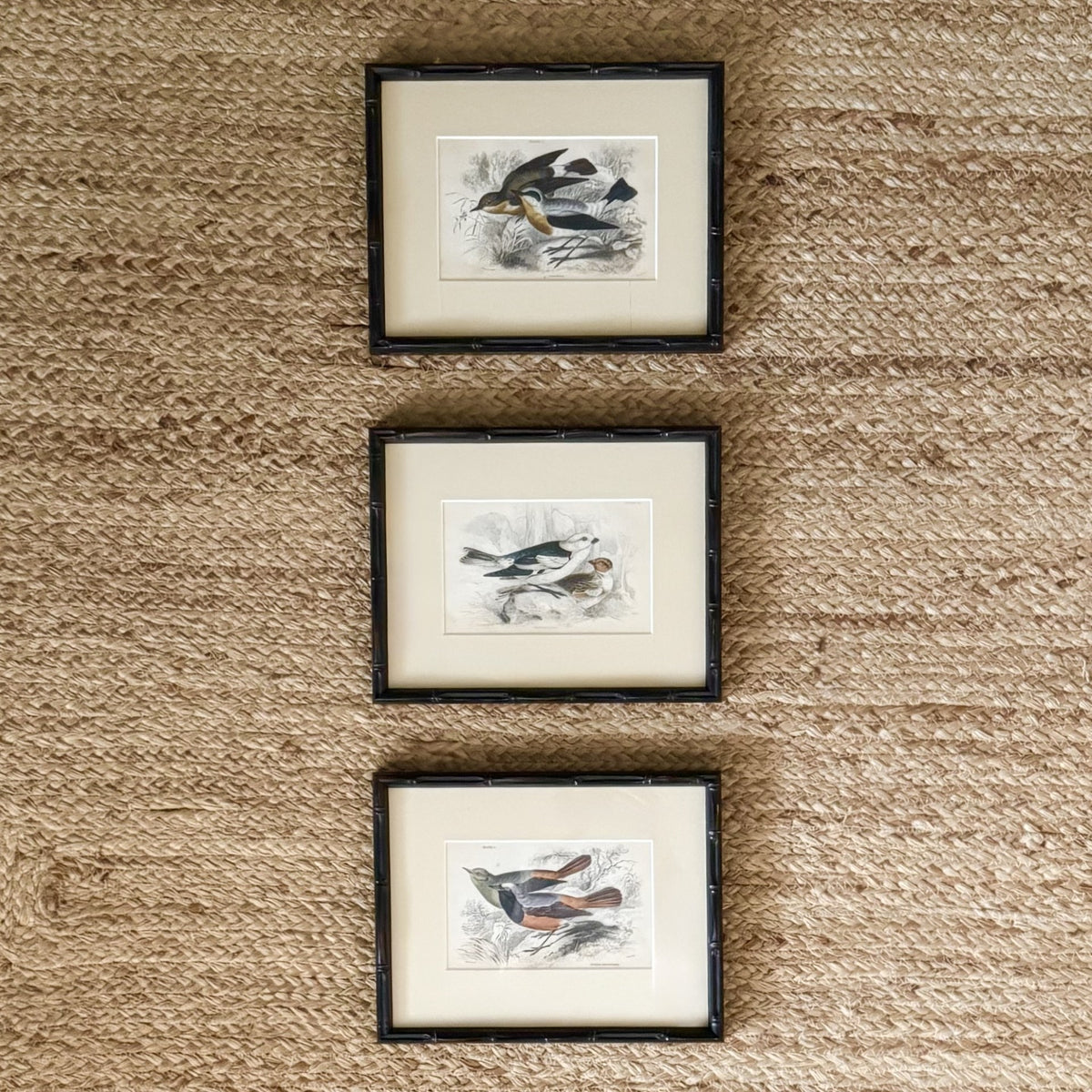 Set of six hand coloured bird engravings