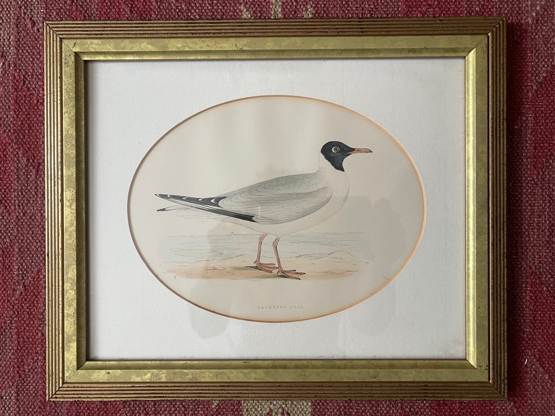 Set of Four Vintage Seagull Prints