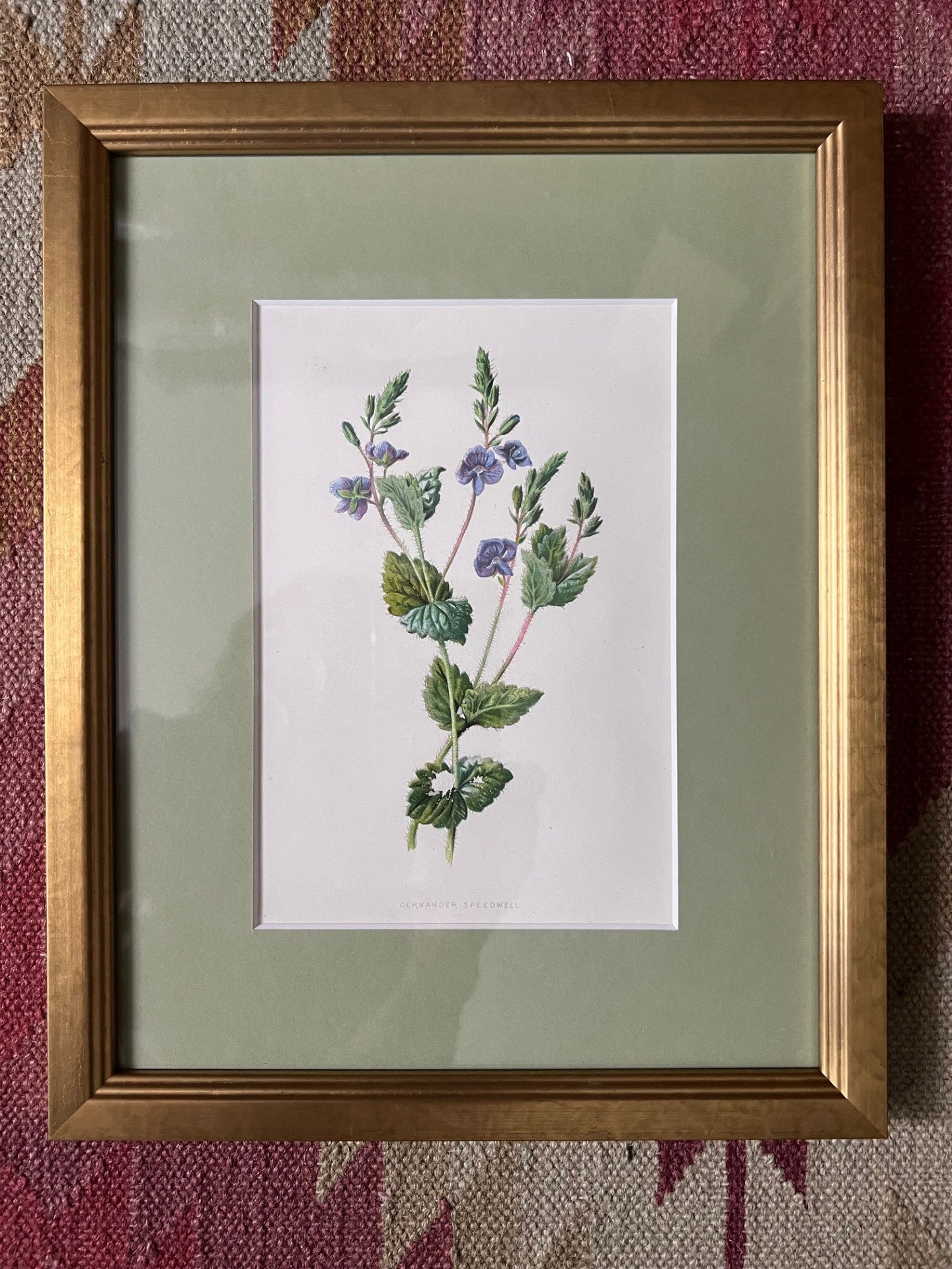 Set of four small floral prints